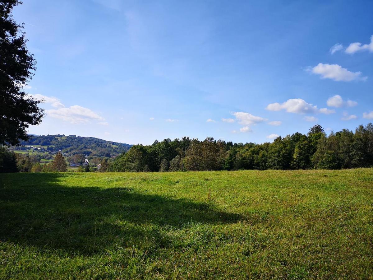 Zamek Ostrowski Villa Chojnik Exteriör bild